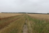 Le chemin d'Etrépagny